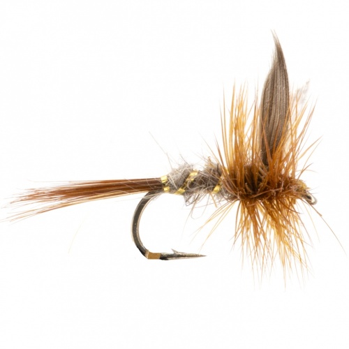 The Essential Fly Gold Ribbed Hares Ear Dry Fishing Fly